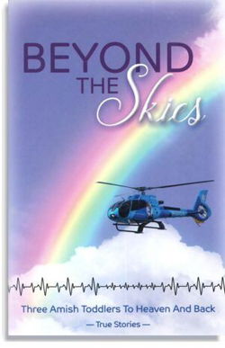 Image of Beyond the Skies:Three Amish Toddlers to Heaven and Back-True Stories