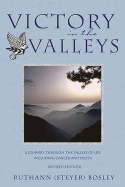 Image of Victory in the Valleys