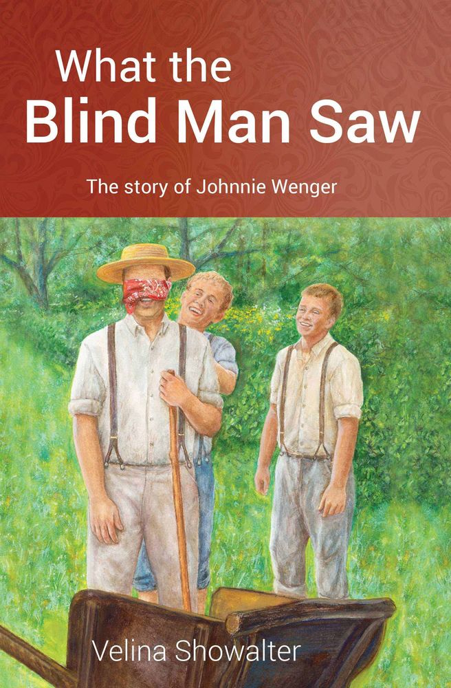 Image of What the Blind Man Saw
