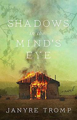 Image of Shadows in the Mind’s Eye