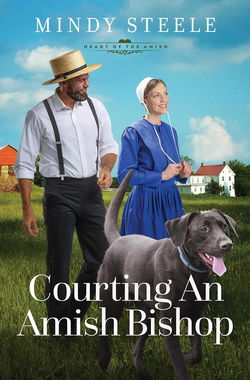 Image of Courting an Amish Bishop: Volume 4