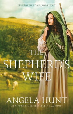 Image of The Shepherd’s Wife -Jerusalem Road #2