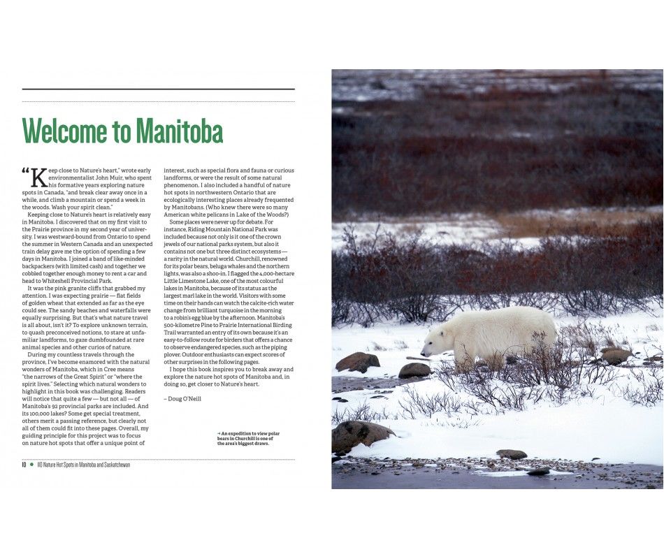 107-0039 Product Image 2