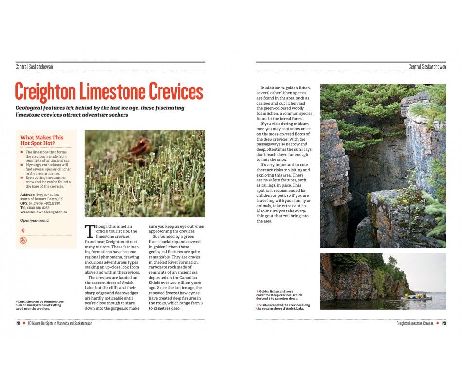 107-0039 Product Image 7