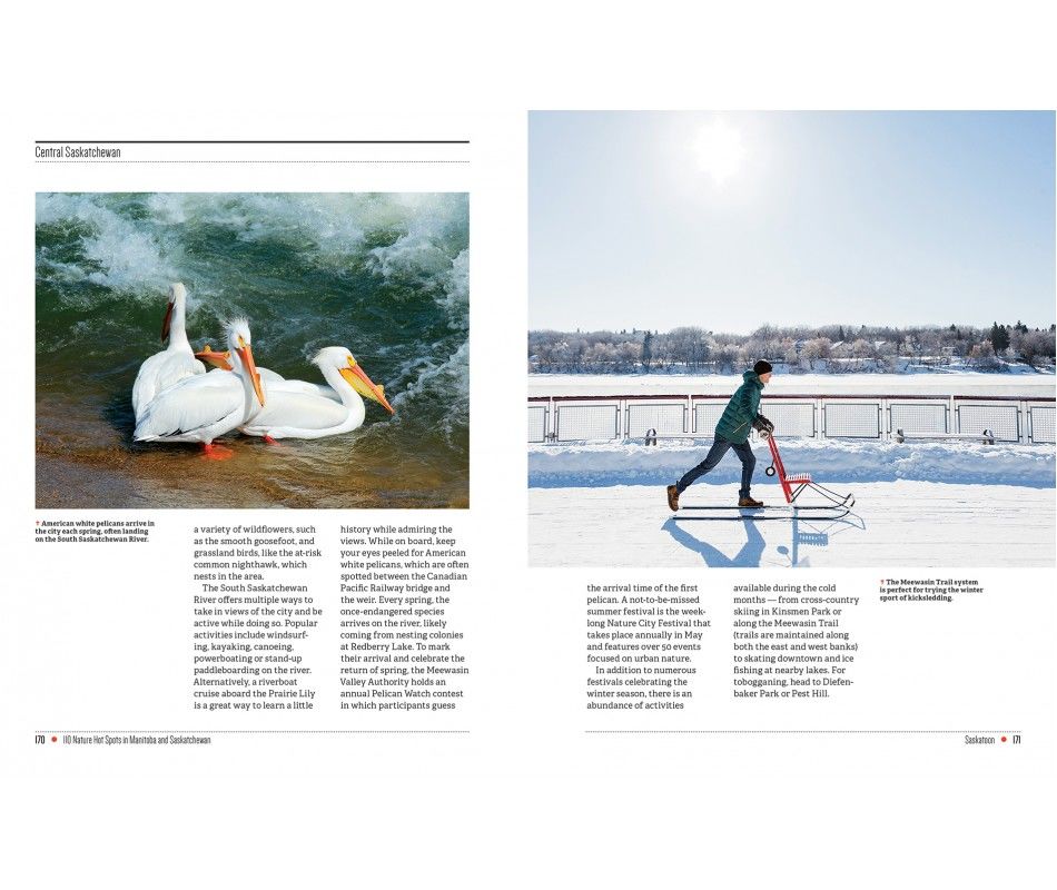 107-0039 Product Image 9