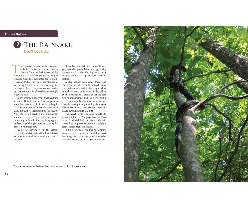 107-0040 Product Image 2