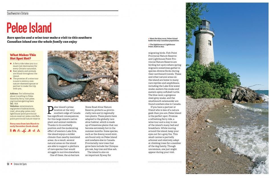 107-0042 Product Image 3