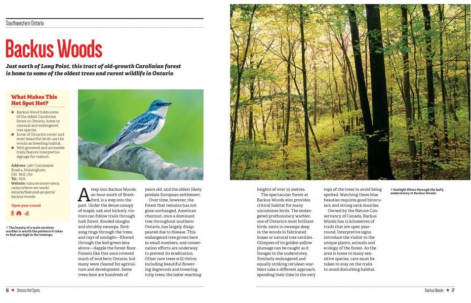 107-0042 Product Image 4