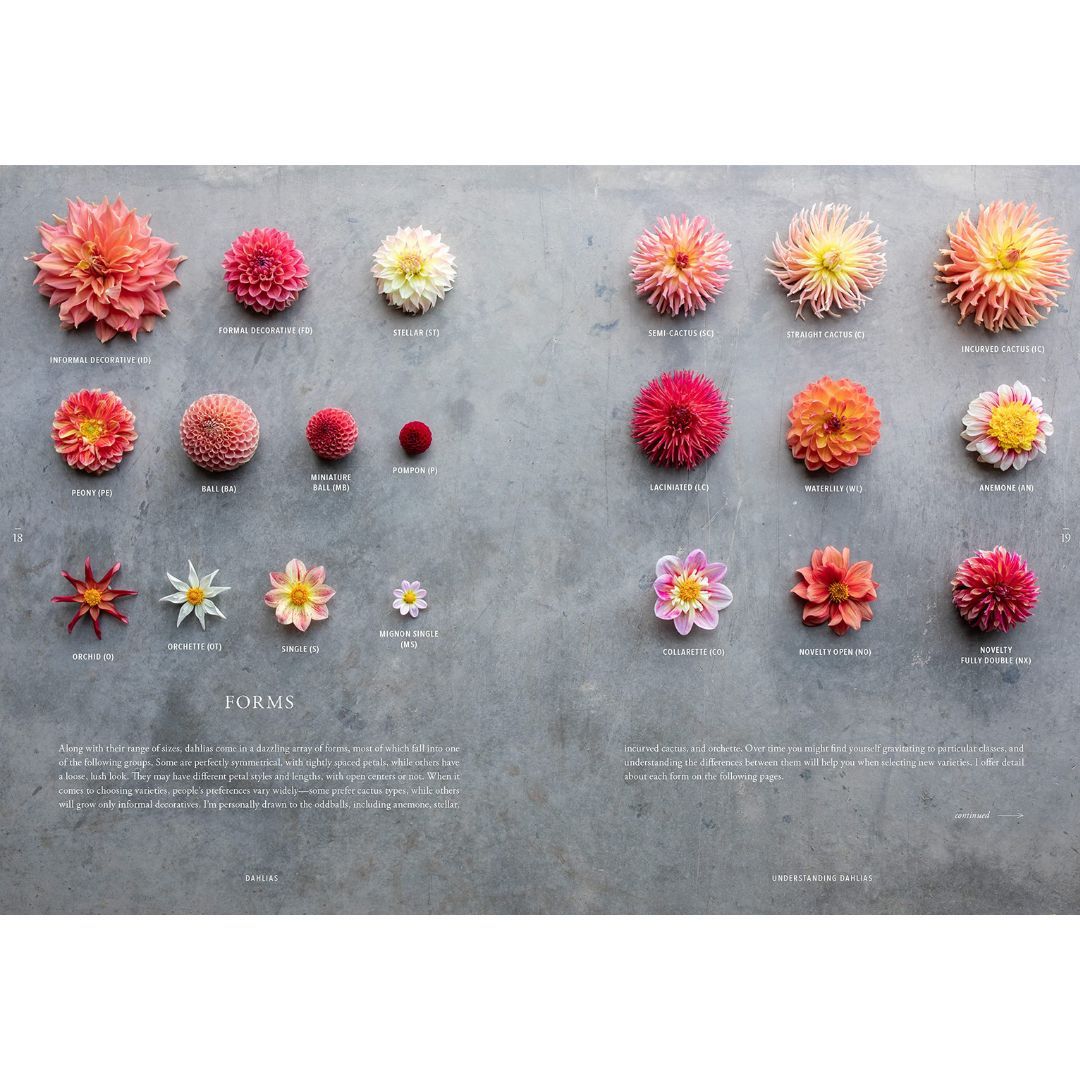 107-0046 Product Image 9