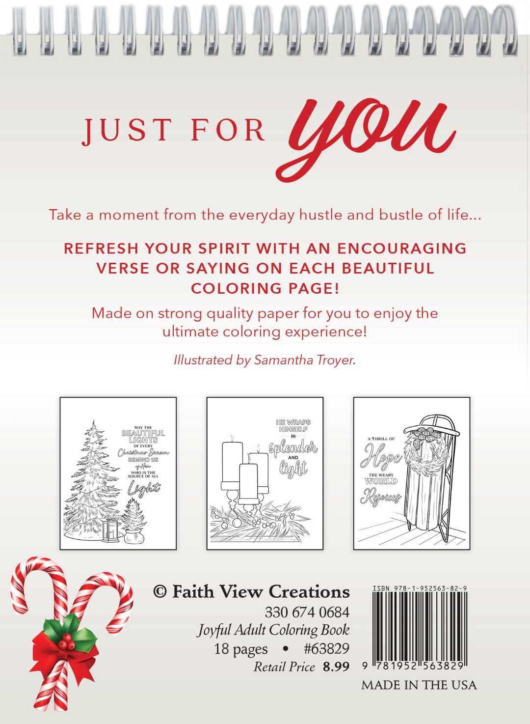 Product 110-0049 - View 2 110-0049 Product Image 2