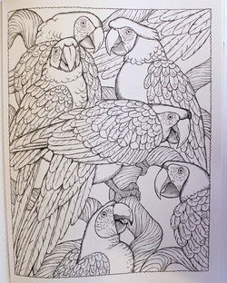 Image of Anne of Green Gables Coloring Book -Dover Classic Stories Coloring Book