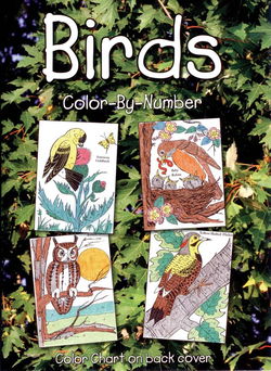 Image of – Color by Number Birds