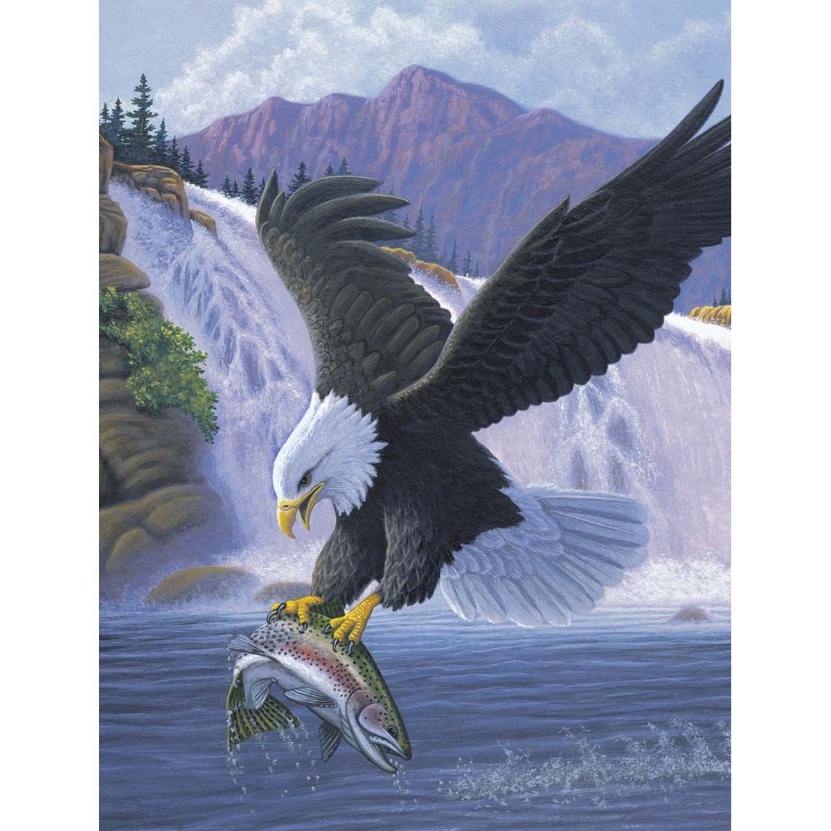 Product 110-0360 - View 1 110-0360 Product Image 1