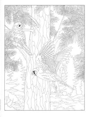 Product 110-0460 - View 2 110-0460 Product Image 2