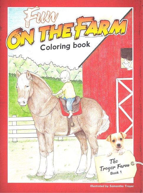 Image of Colouring Book: Fun on the Farm: Troyer Farm Book 1