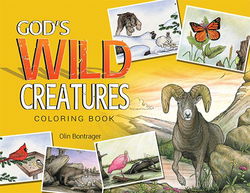 Image of Colouring Book: God’s Wild Creatures –