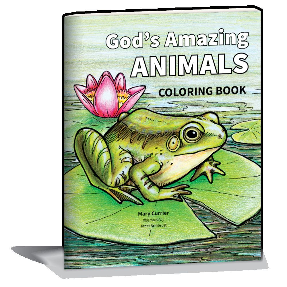 Product 110-1485 - View 1 110-1485 Product Image 1