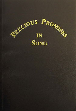 Image of Precious Promises in Song # 1 – Brown