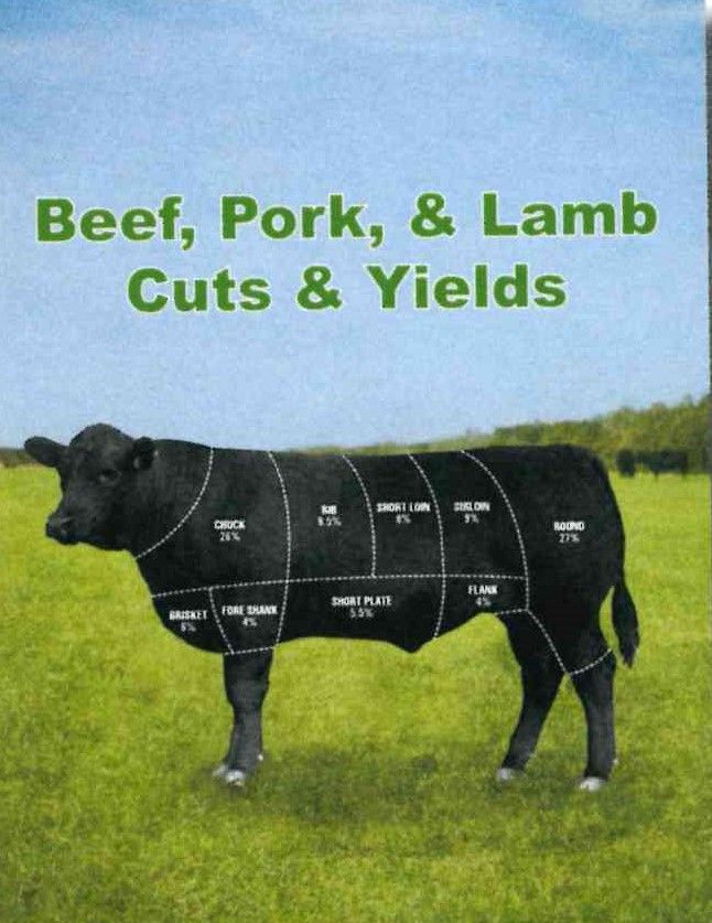 Image of Beef, Pork, & Lamb Cuts & Yields