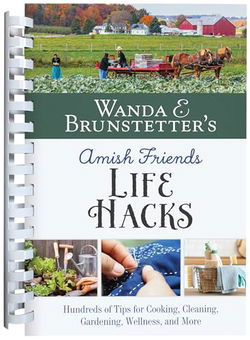 Image of Wanda E. Brunstetter’s Amish Friends Life Hacks: Hundreds of Tips