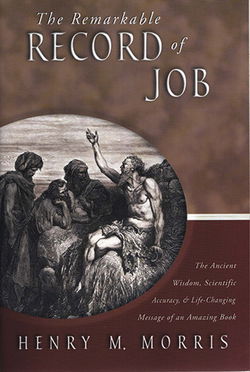 Image of The Remarkable Record of Job
