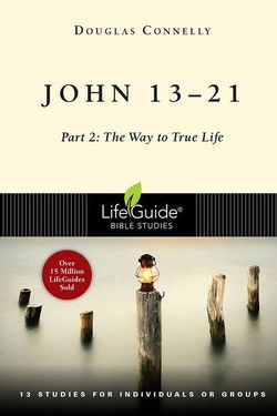 Image of John 13-21, Part 2: The Way to True Life – Lifeguide Studies