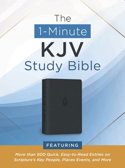 Image of 1-Minute Study Bible – Pewter Blue