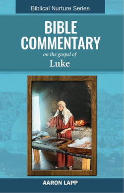 Image of Bible Commentary—Luke