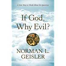 Image of If God, Why Evil?: A New Way to Think About the Question