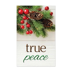Image of Tract: True Peace – 100 Pk NKJV