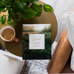 Image of Seek: A Walk Through Psalms Psalms 61-90