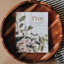 Image of Pray- Cultivating a Passionate Practice of Prayer BIble Study
