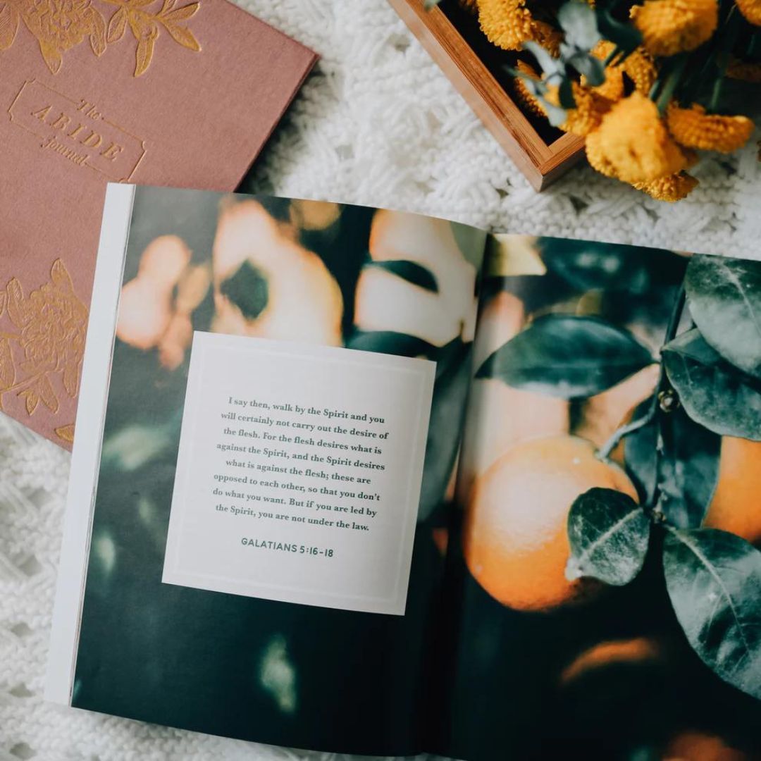 117-0264 Product Image 2