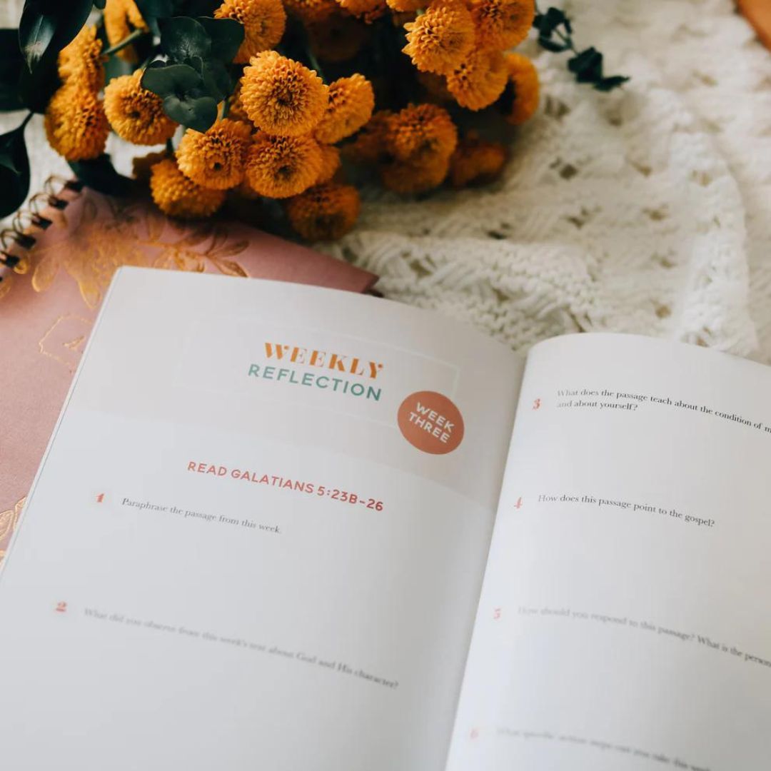 117-0264 Product Image 5