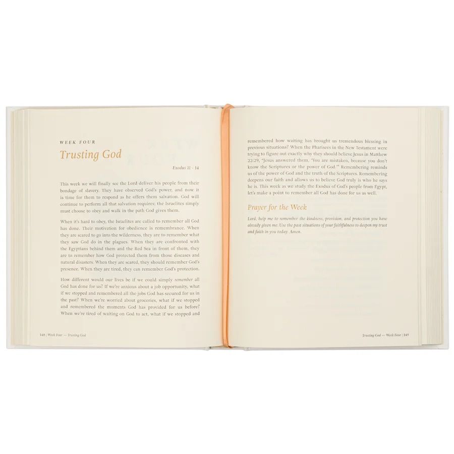 Product 117-0288 - View 5 117-0288 Product Image 5