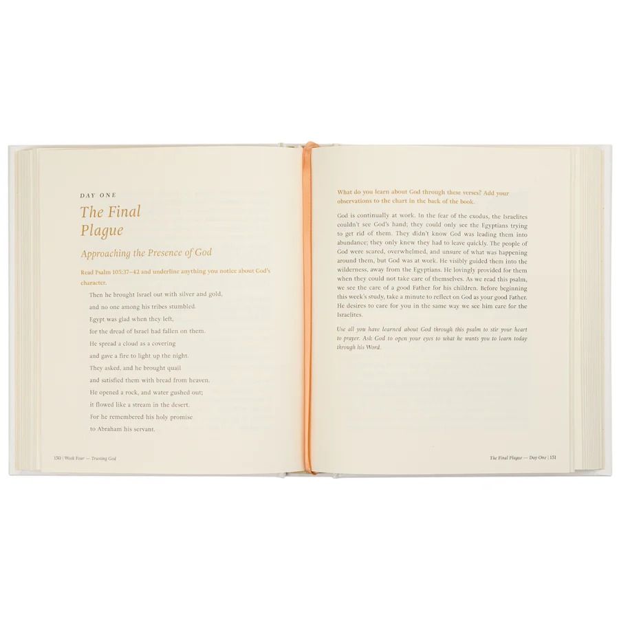 Product 117-0288 - View 6 117-0288 Product Image 6