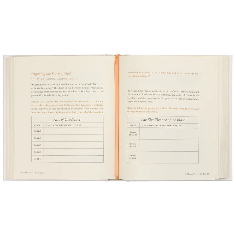 Product 117-0288 - View 7 117-0288 Product Image 7