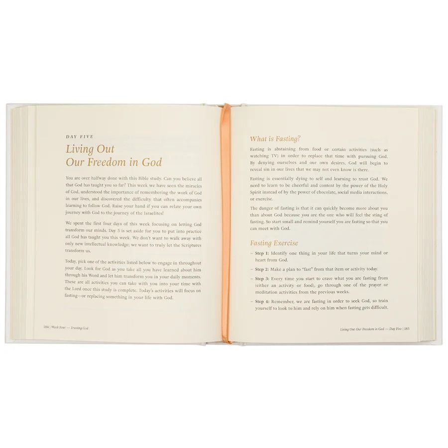 Product 117-0288 - View 8 117-0288 Product Image 8