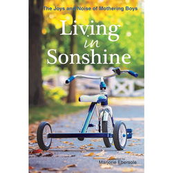 Image of Living in Sonshine -The Joys and Noise of Mothering Boys