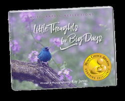 Image of Little Thoughts for Big Days – Photographic Reflections