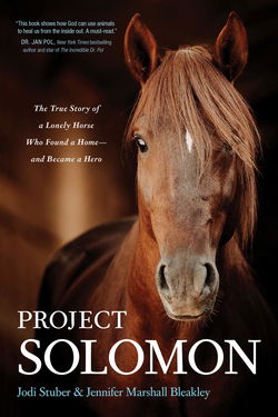 Image of Project Solomon – Lonely Horse