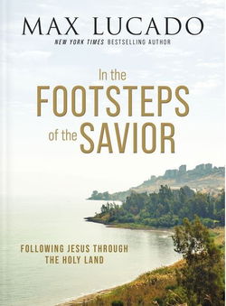 Image of In the Footsteps of the Savior: Following Jesus