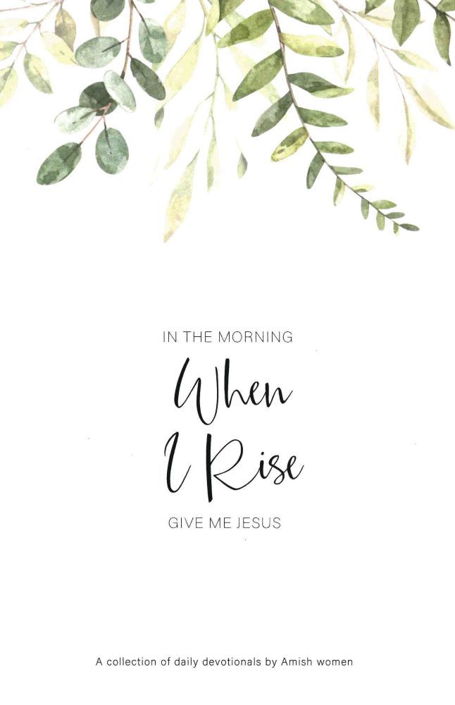 Image of In the Morning When I Rise