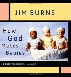 Image of How God Makes Babies -Pure Foundations