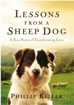 Image of Lessons from a Sheep Dog