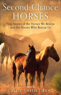 Image of Second-Chance Horses: True Stories of the Horses