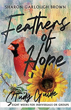 Image of Feathers of Hope Study Guide