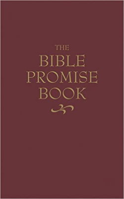Image of KJV The Bible Promise Book