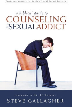Image of A Biblical Guide to Counseling the Sexual Addict