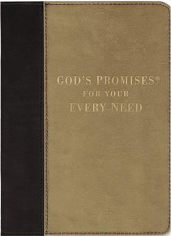 Image of God’s Promises for Your Every Need